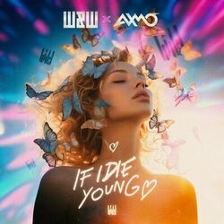 Cover of If I Die Young