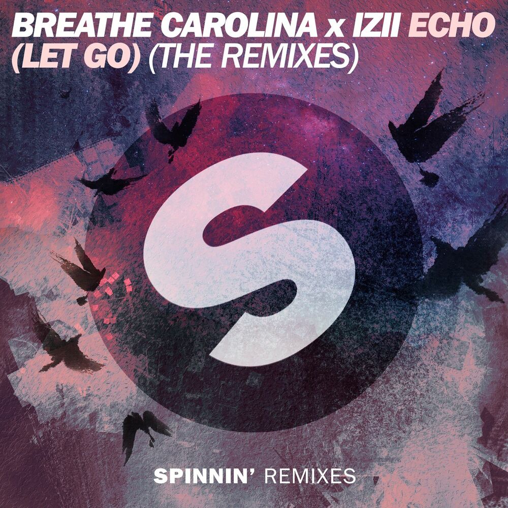 Picture of ECHO (LET GO) (The Remixes)