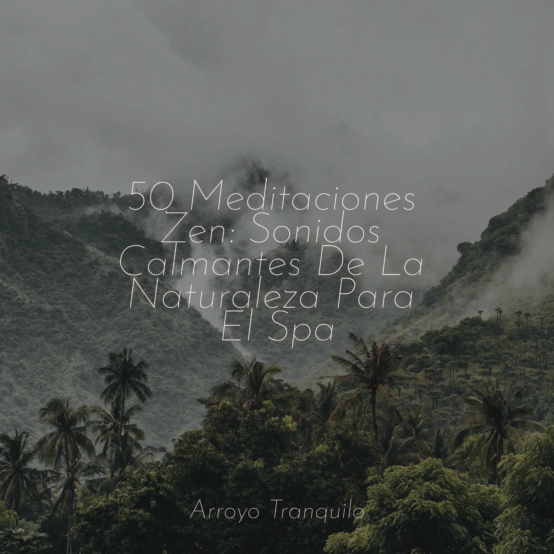 Album cover of 50 Meditaciones Zen: Sonidos Calmantes De La Naturaleza Para El Spa