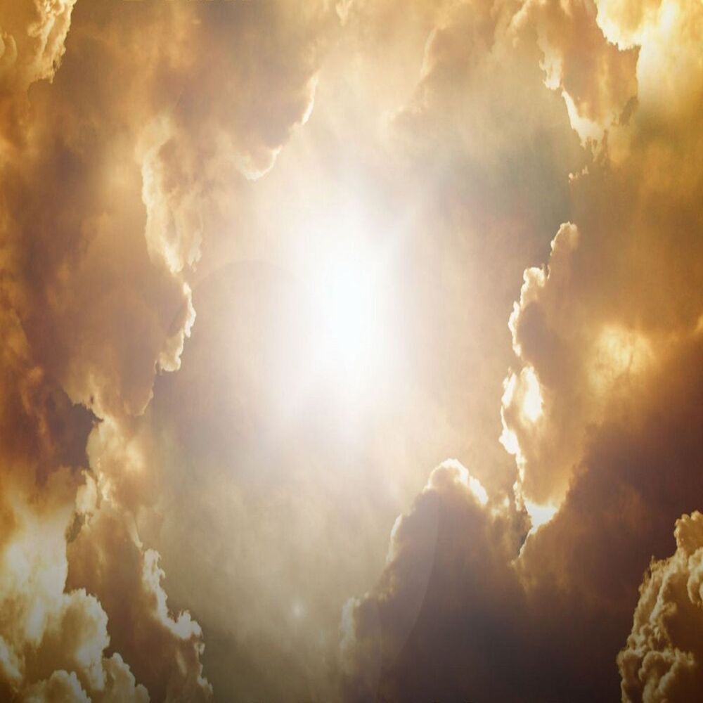 Picture of Brighter