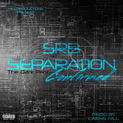 Cover of Srb Separation Confirmed (The Dark Print)