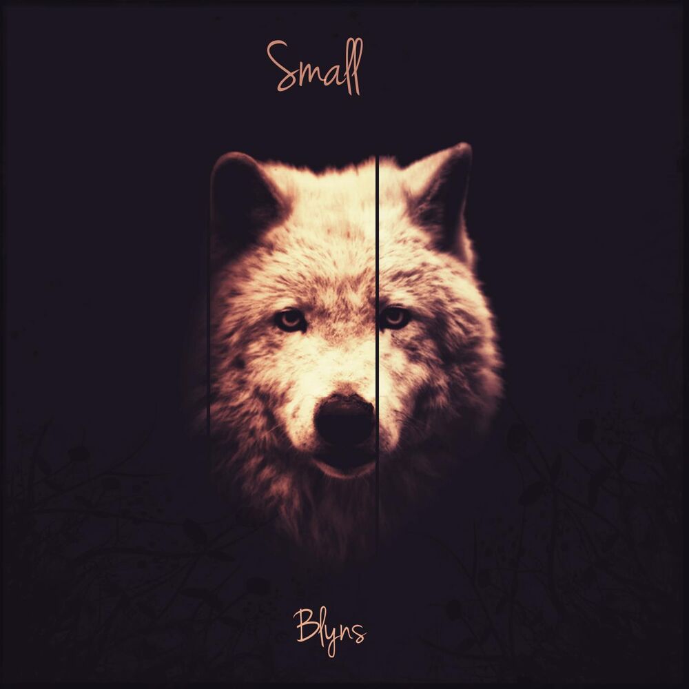 Picture of Small