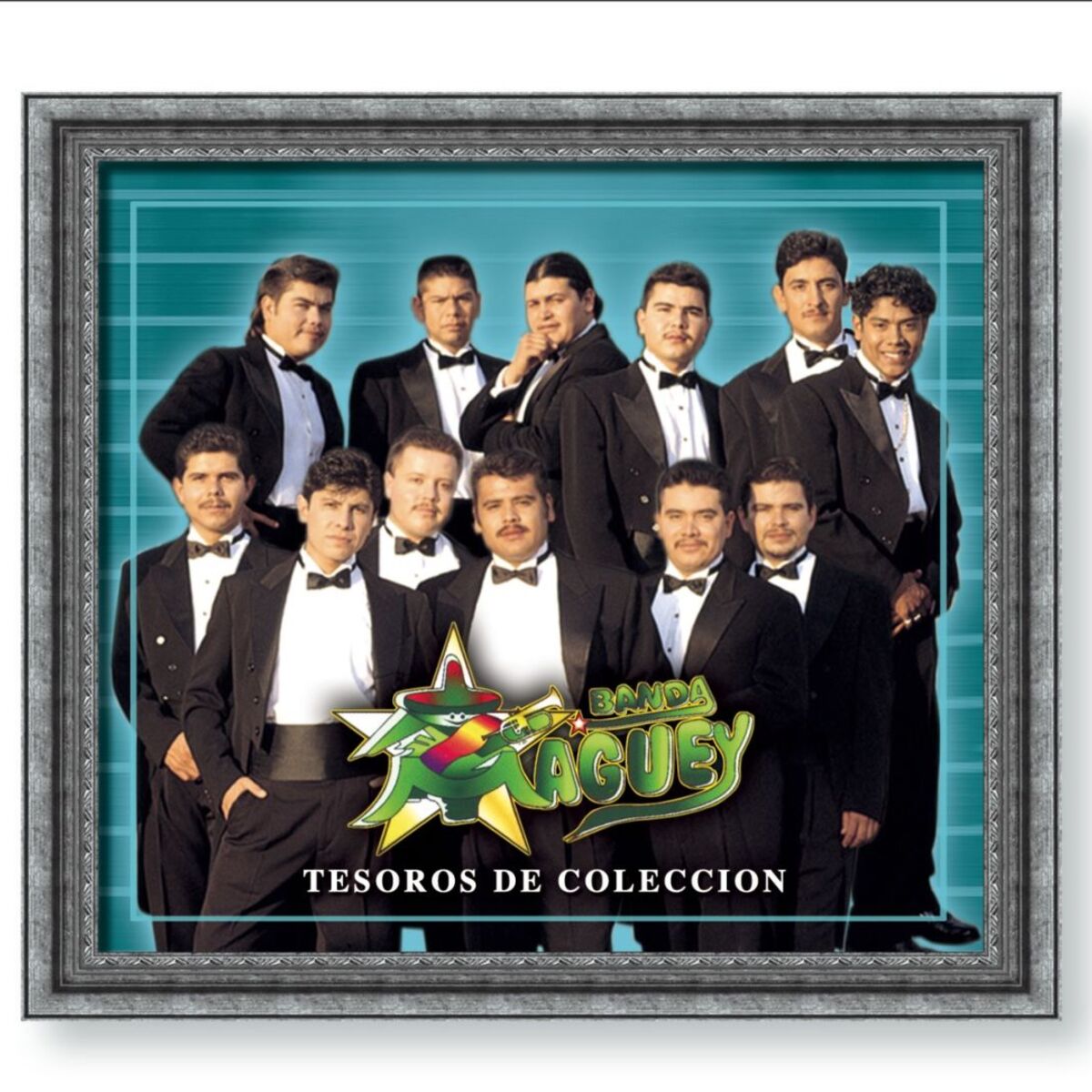 Album cover of Tesoros de Coleccion