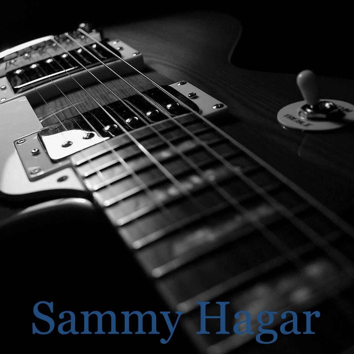 Album cover of Sammy Hagar - WLLZ FM Broadcast Detroit 10th October 1984 Part Two.