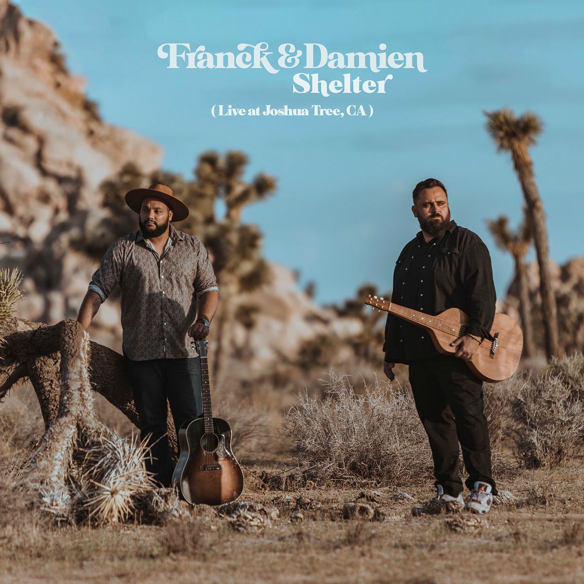 Album cover of Shelter (Live at Joshua Tree)