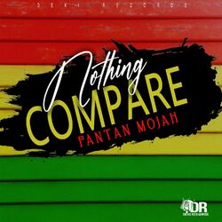Cover of Nothing Compare