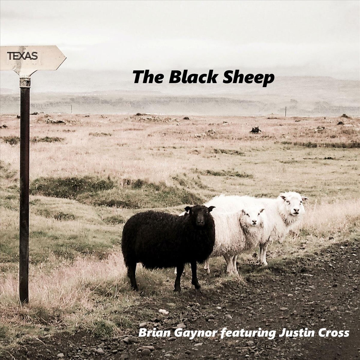 Brian Gaynor - The Black Sheep | Deezer