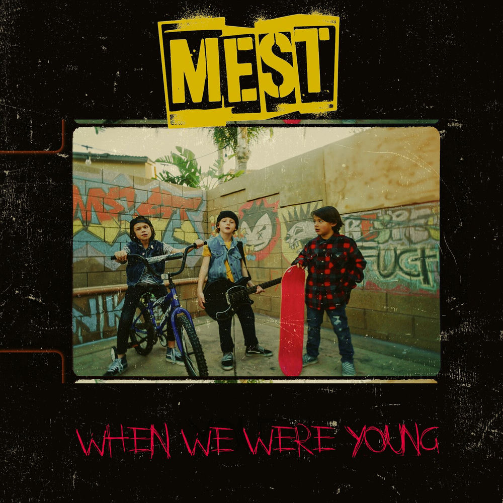When We Were Young (feat. Jaret Reddick of Bowling For Soup) cover