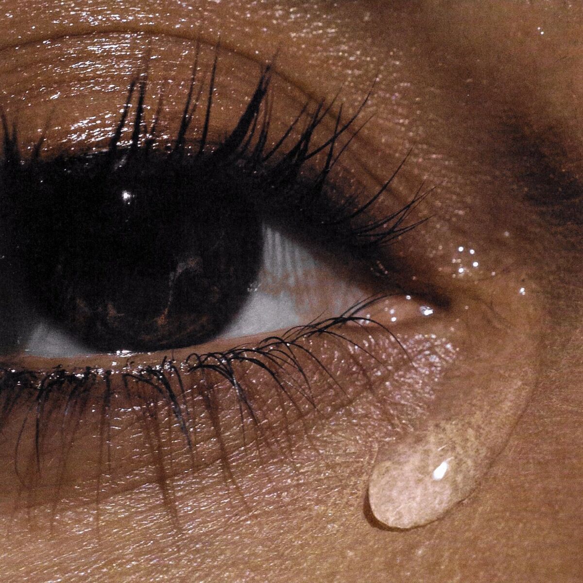 Album cover of COLIBRÍ