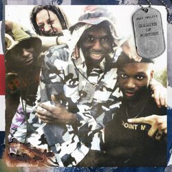 Cover of Soldier of Fortune