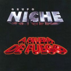 Cover of A Prueba De Fuego