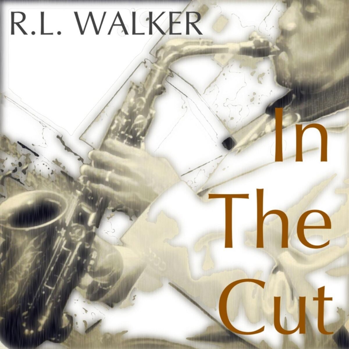 Album cover of In the Cut