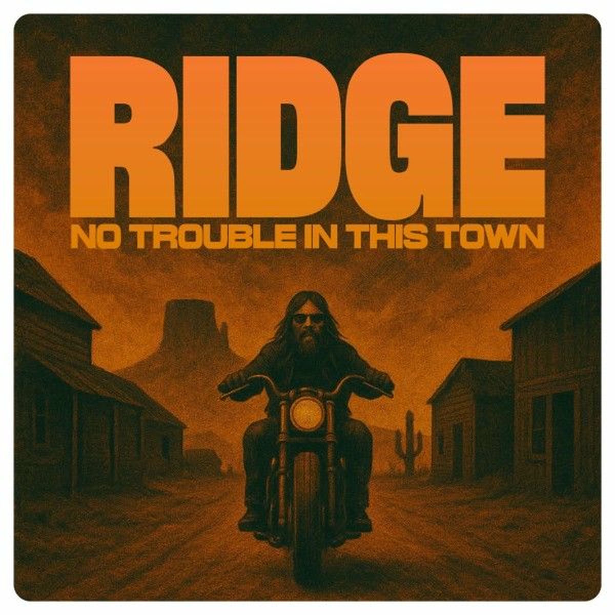 Album cover of No Trouble in This Town