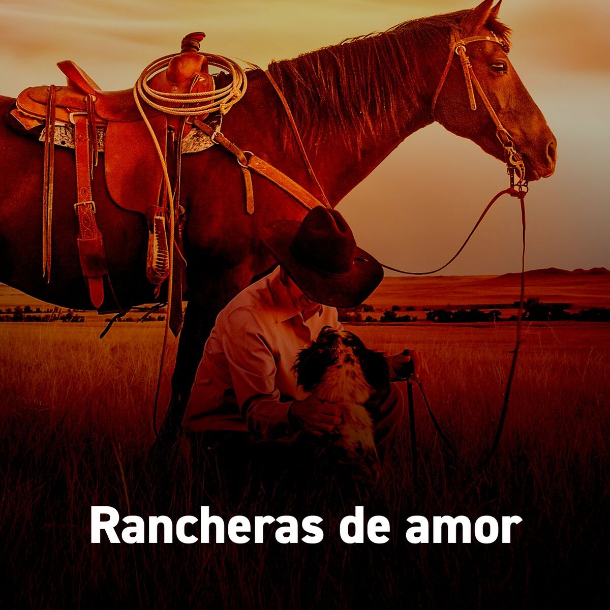 Album cover of Rancheras de amor