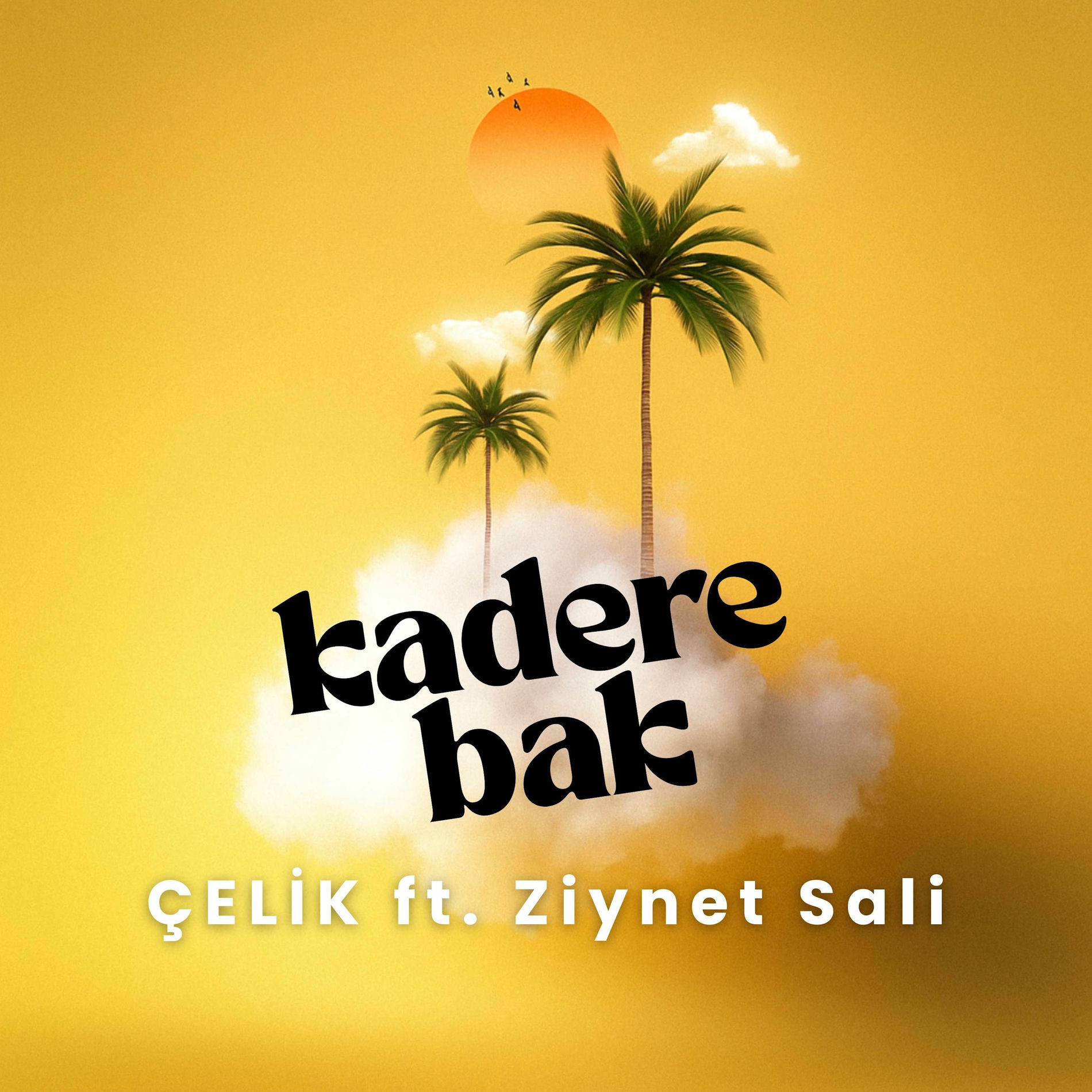 Album cover of Kadere Bak