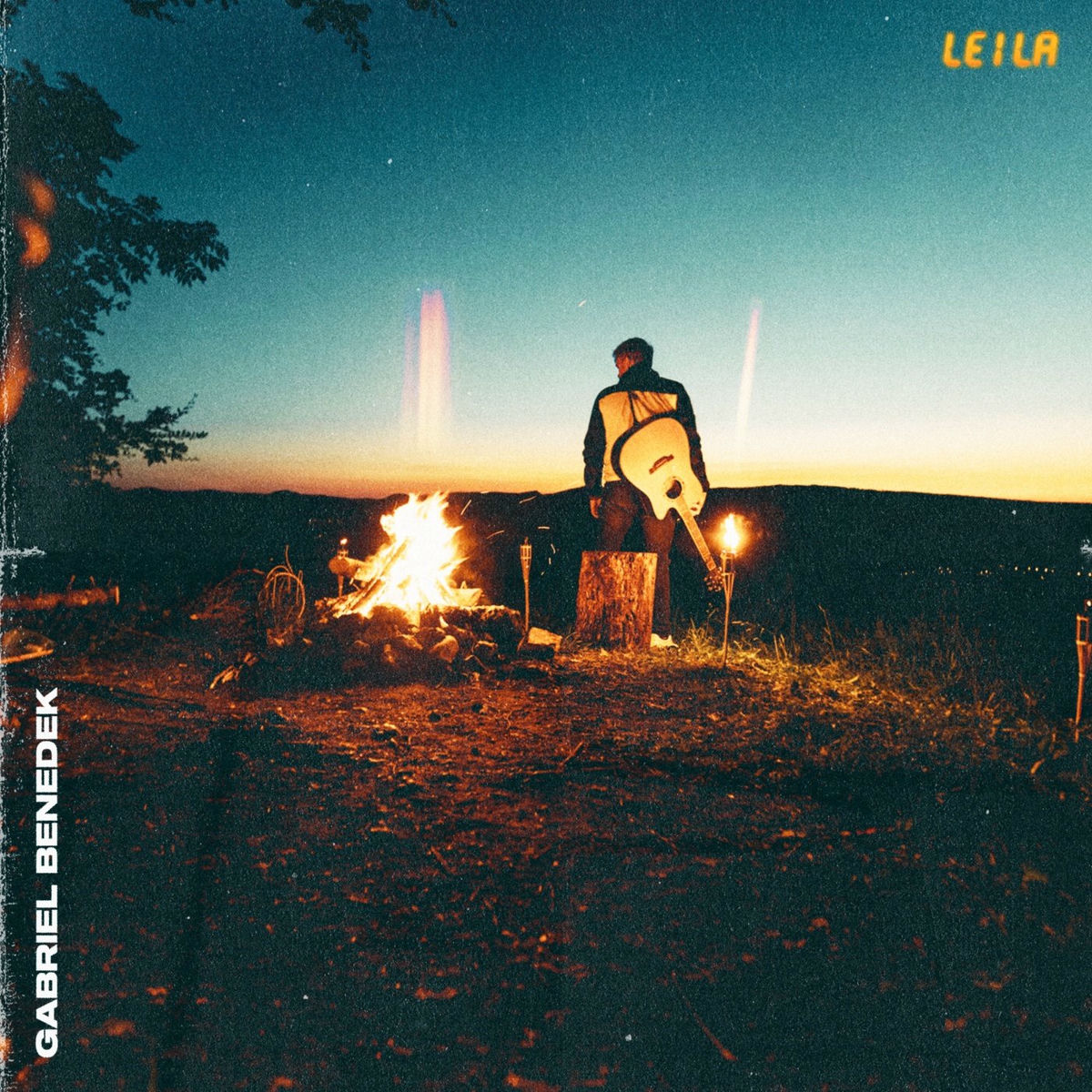 Album cover of Leila