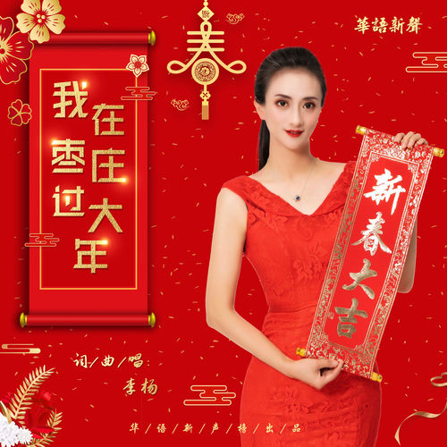 我在枣庄过大年