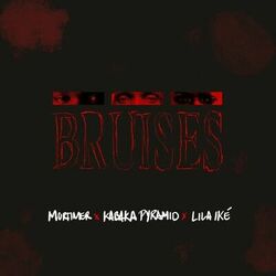 Cover of Bruises