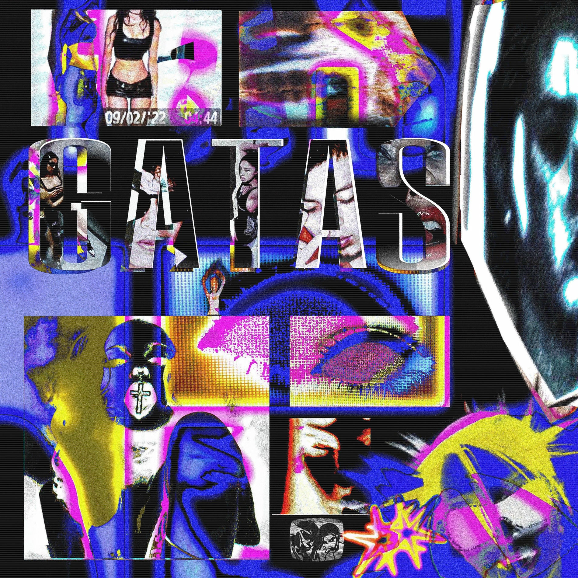 Album cover of Gatas