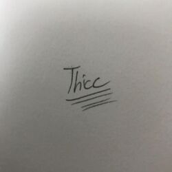 Cover of Thicc