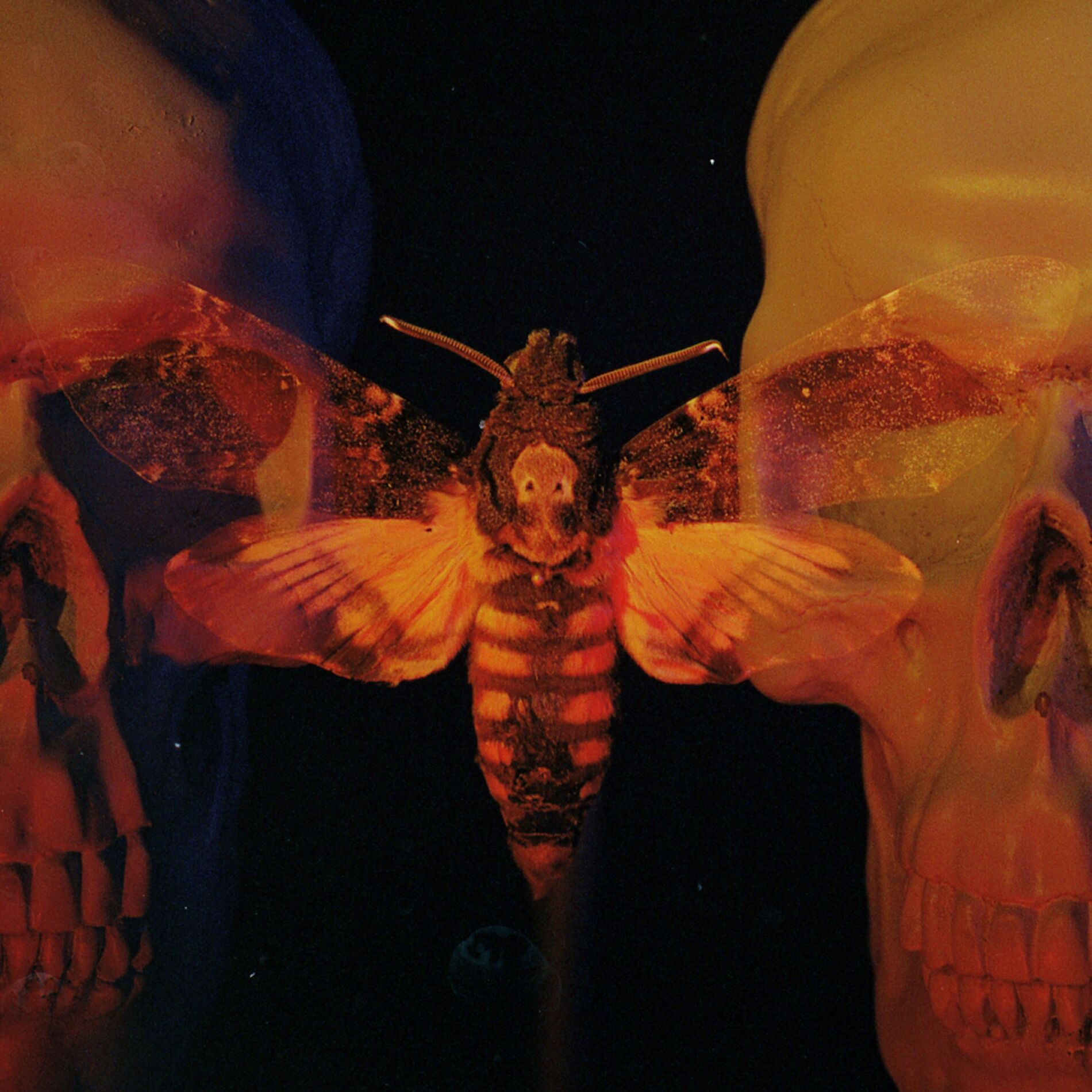 Album cover of Fatal Flaw
