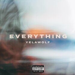 Cover of Everything