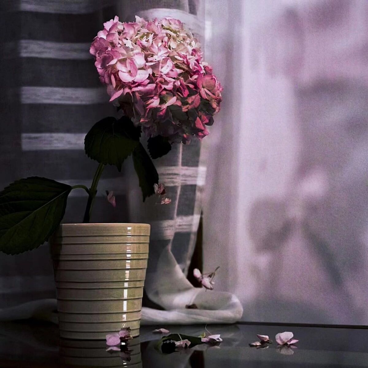 Album cover of Premier Jardinier