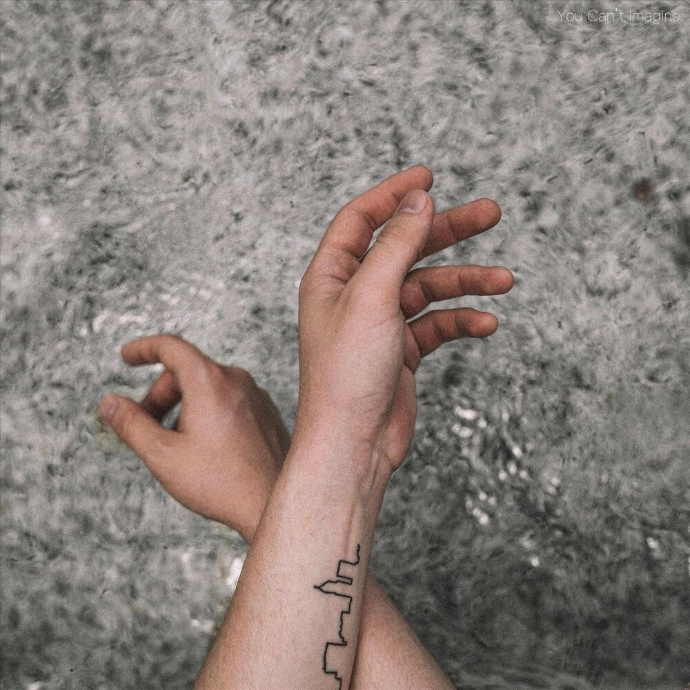 Picture of You Can't Imagine