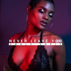 Cover of Never Leave You