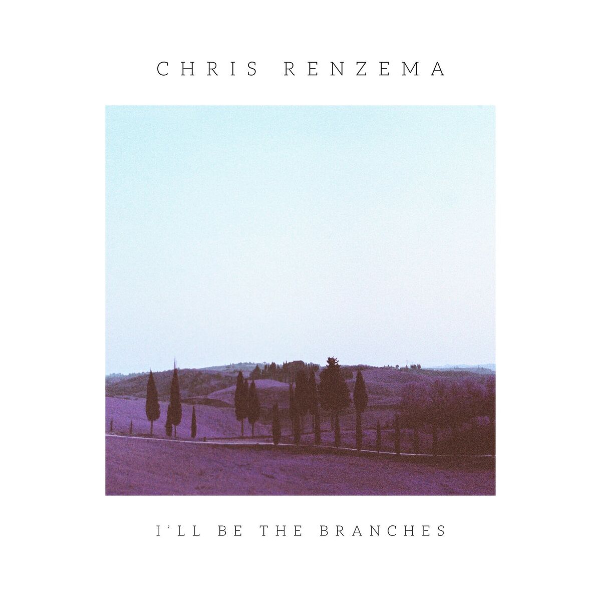 Album cover of I'll Be the Branches