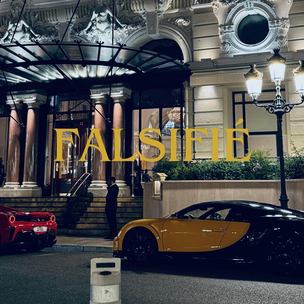 Picture of FALSIFIÉ
