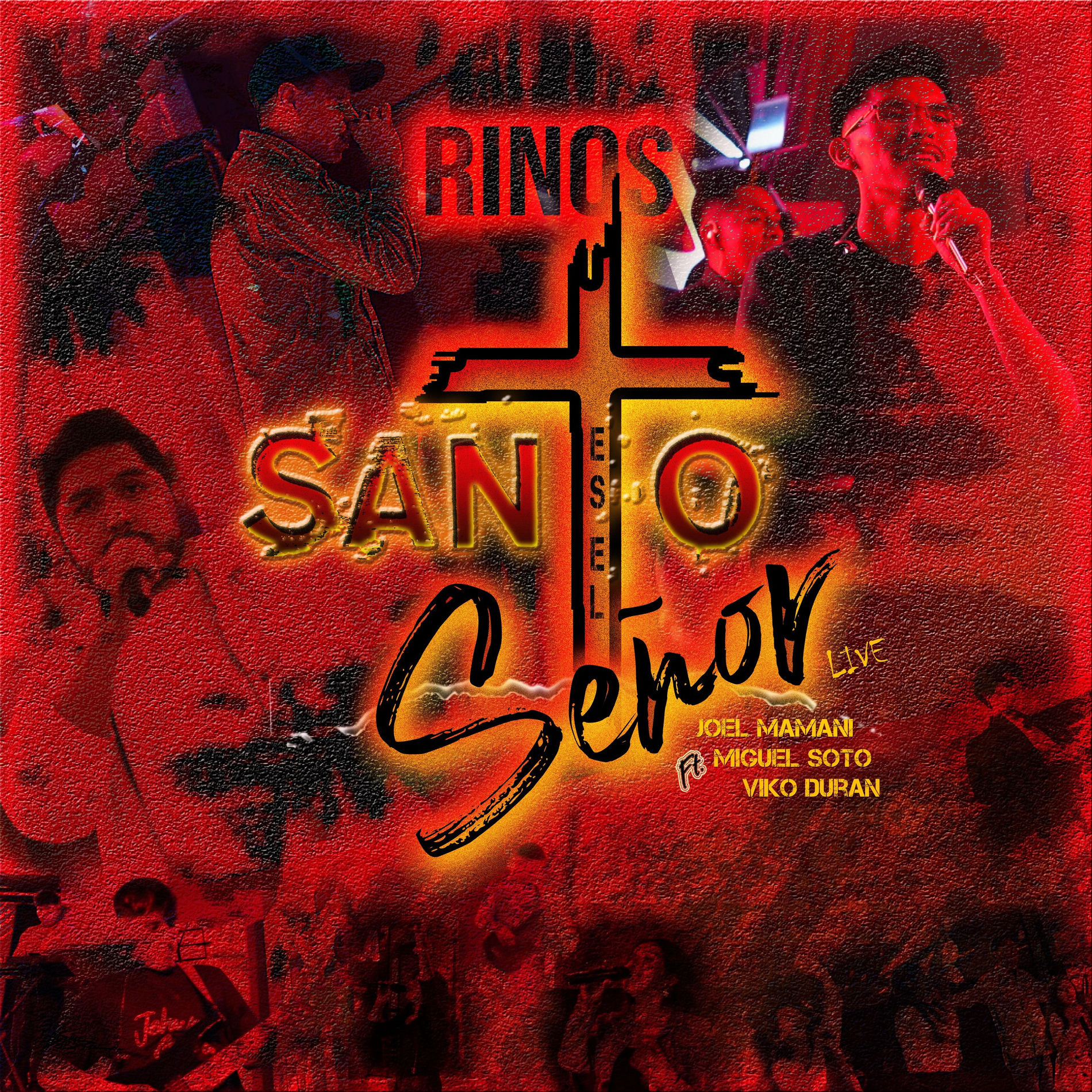 Album cover of Santo es el Señor (Live)