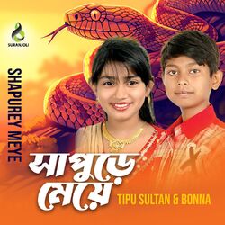 Cover of Shapurey Meye