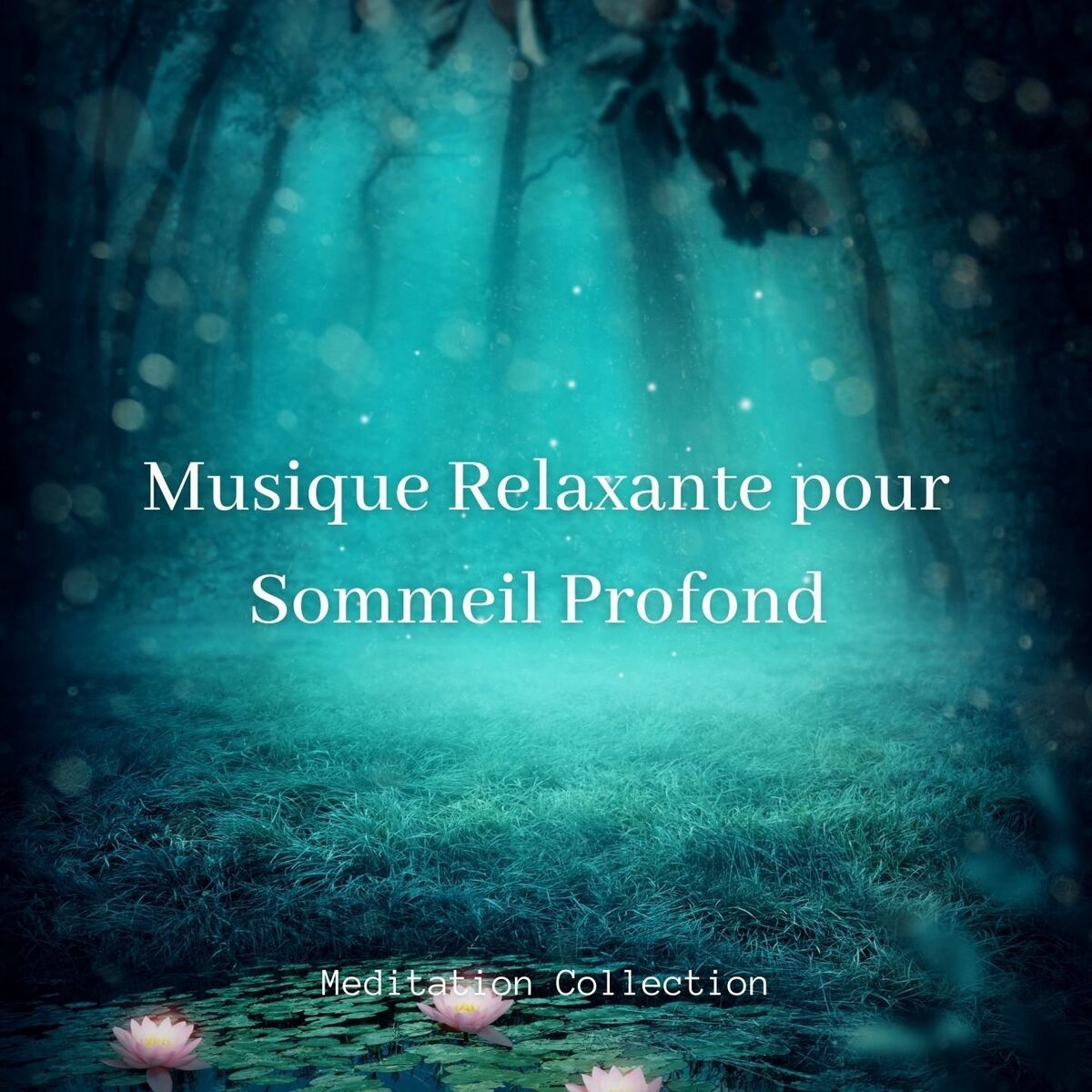 Album cover of Musique relaxante pour sommeil profond