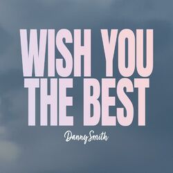 Cover of Wish You The Best