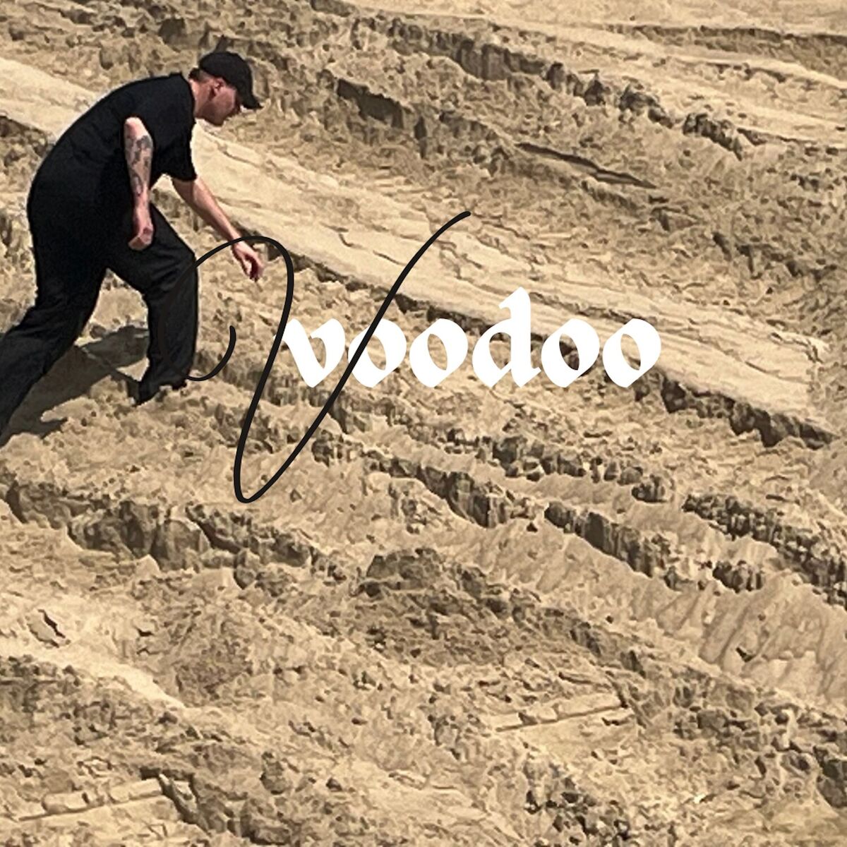 Album cover of Voodoo