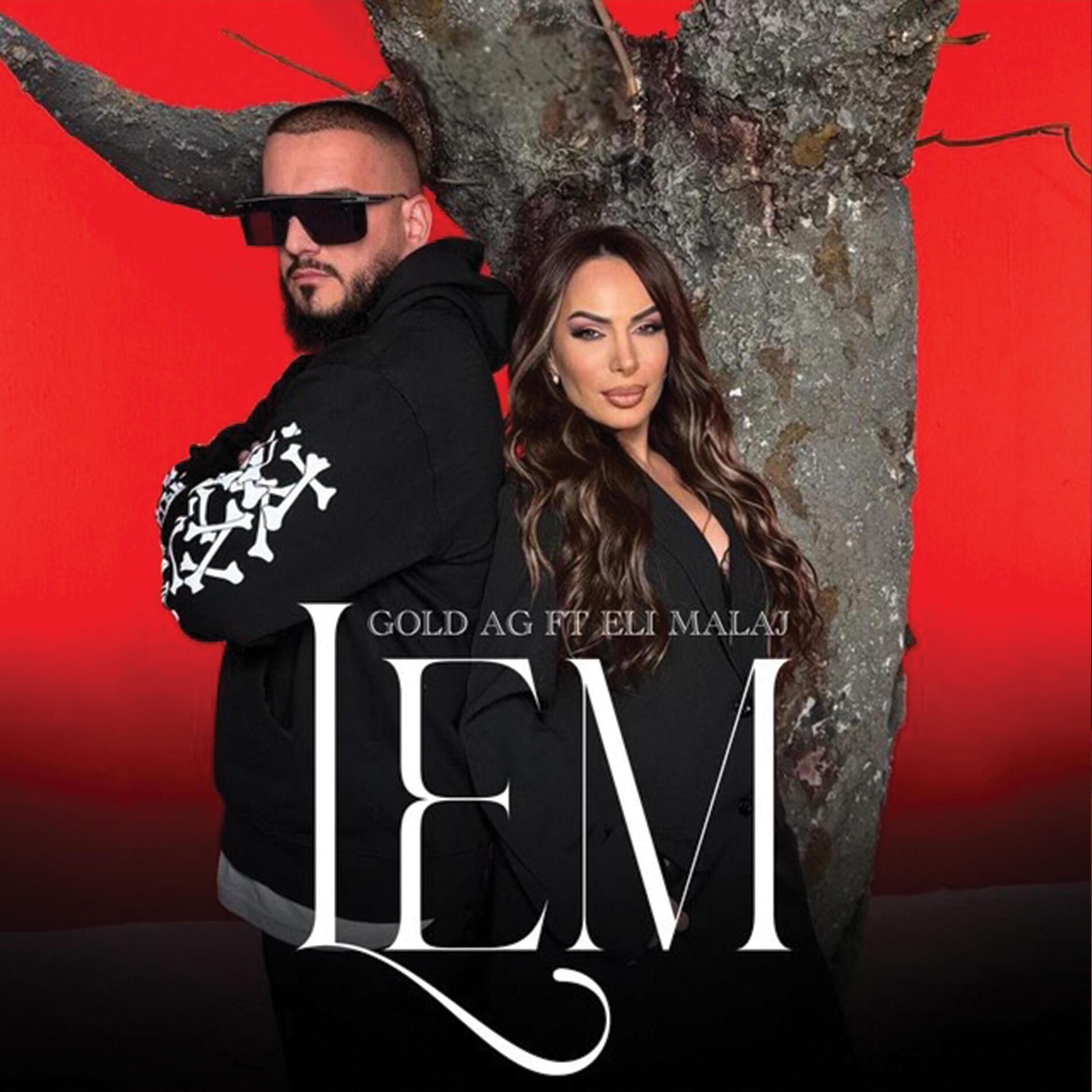 Album cover of Lem (feat. Eli Malaj)