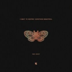 Cover of I Want To Destroy Something Beautiful