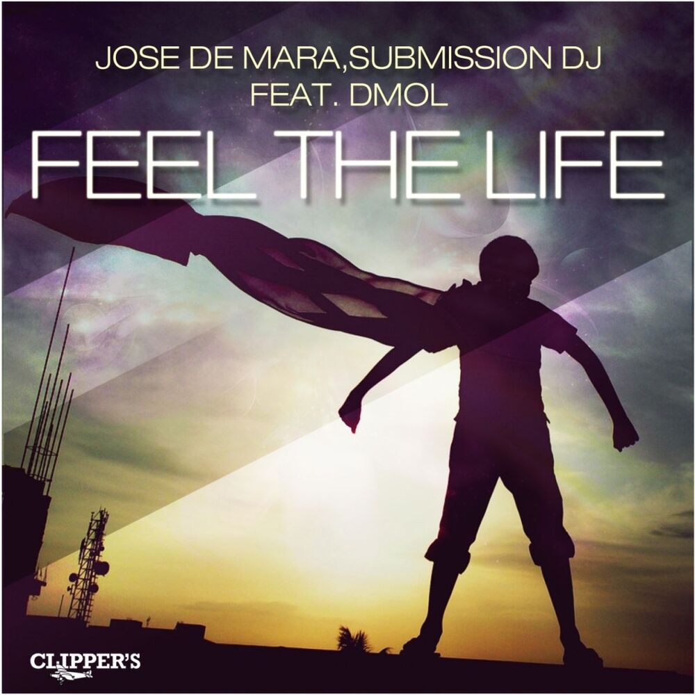 Picture of Feel the Life