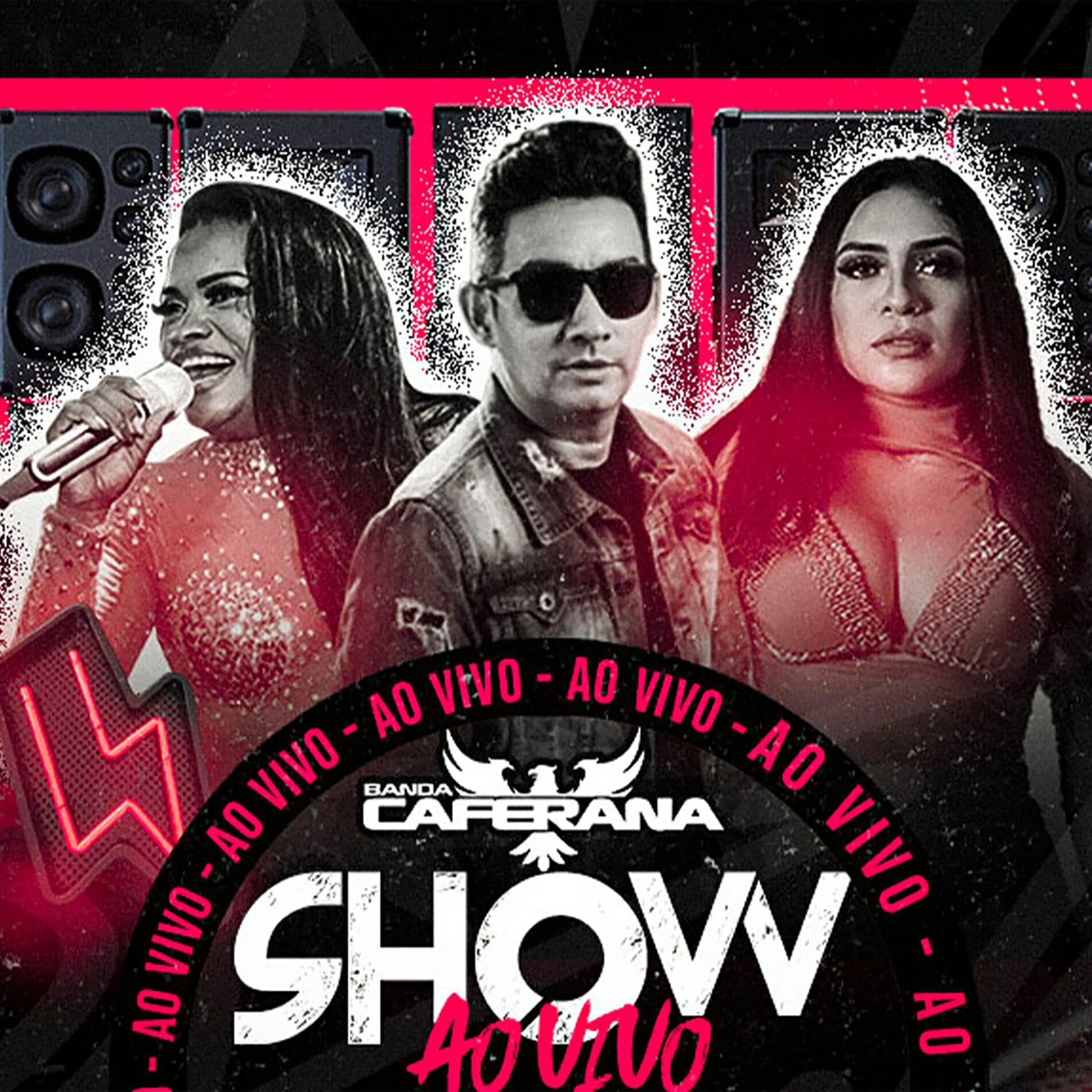 Album cover of Show ao Vivo em Cametá