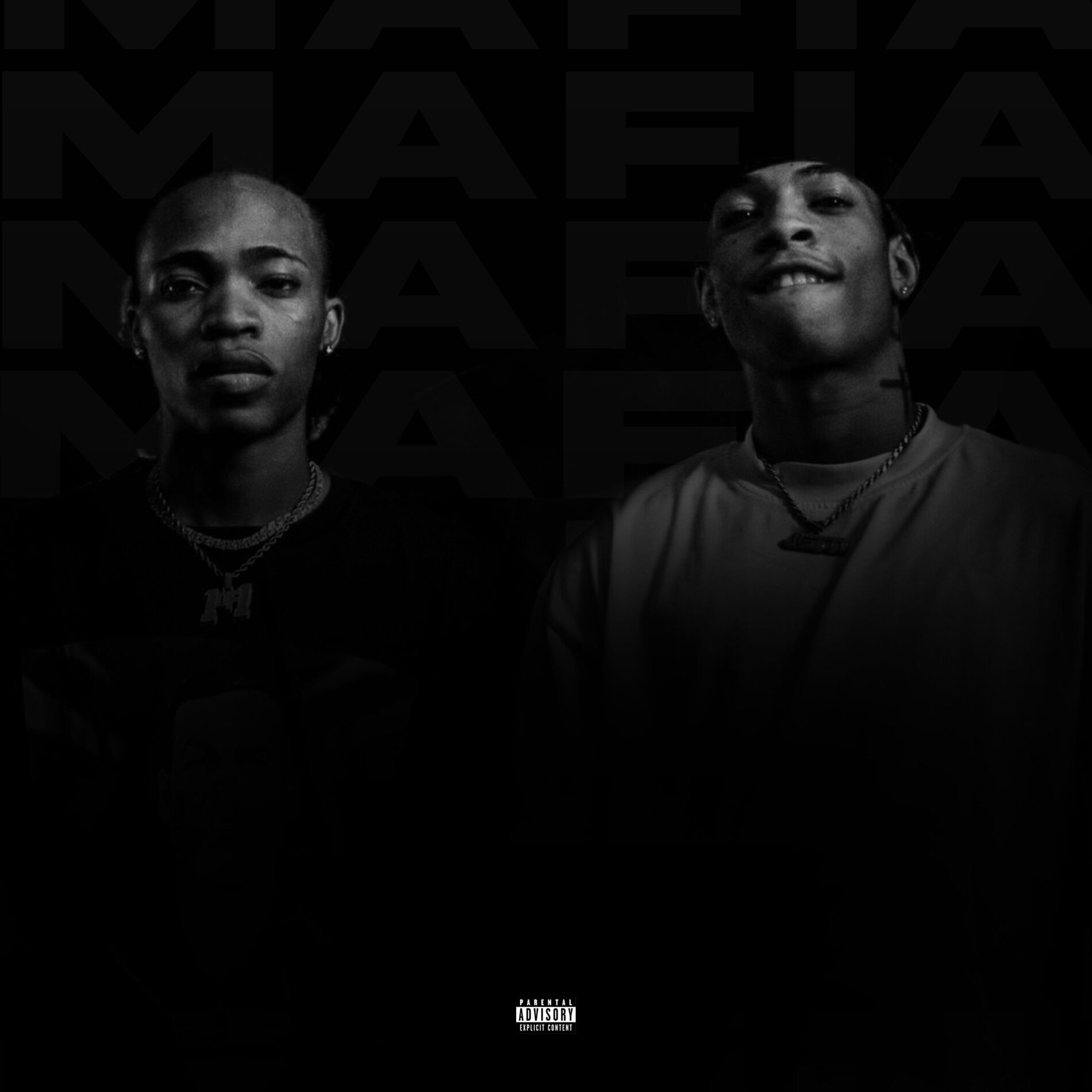 Album cover of MAFIA (Viral Mix)
