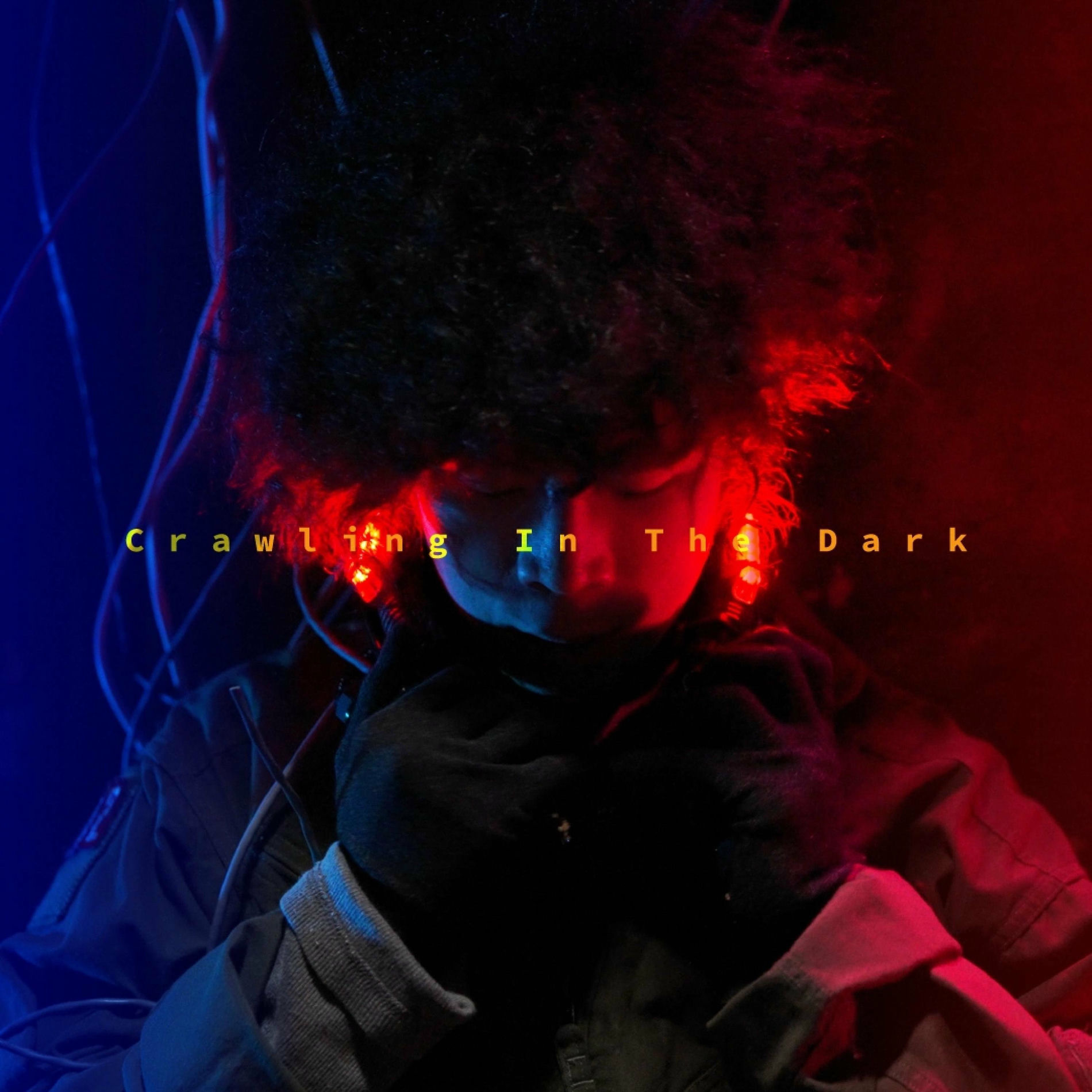 Album cover of Crawling In The Dark