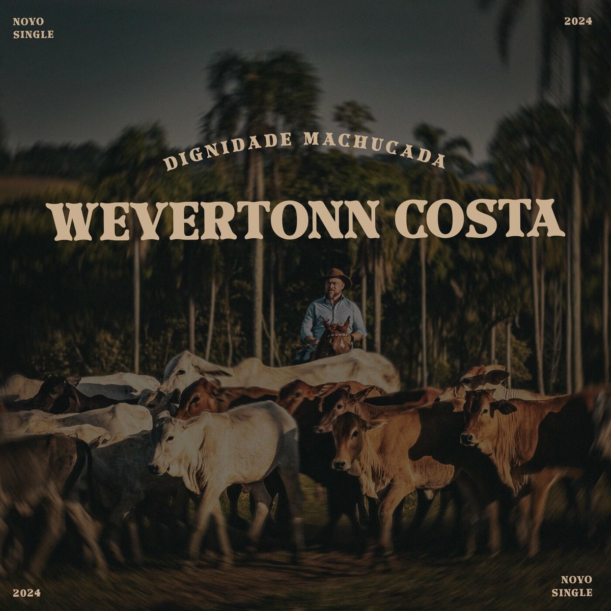 Album cover of Dignidade Machucada