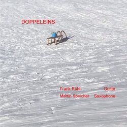 Cover of DoppelEins