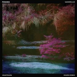 Cover of Heartburn (Rinzen Remix)