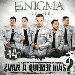 Cover of ¿Van A Querer Más?