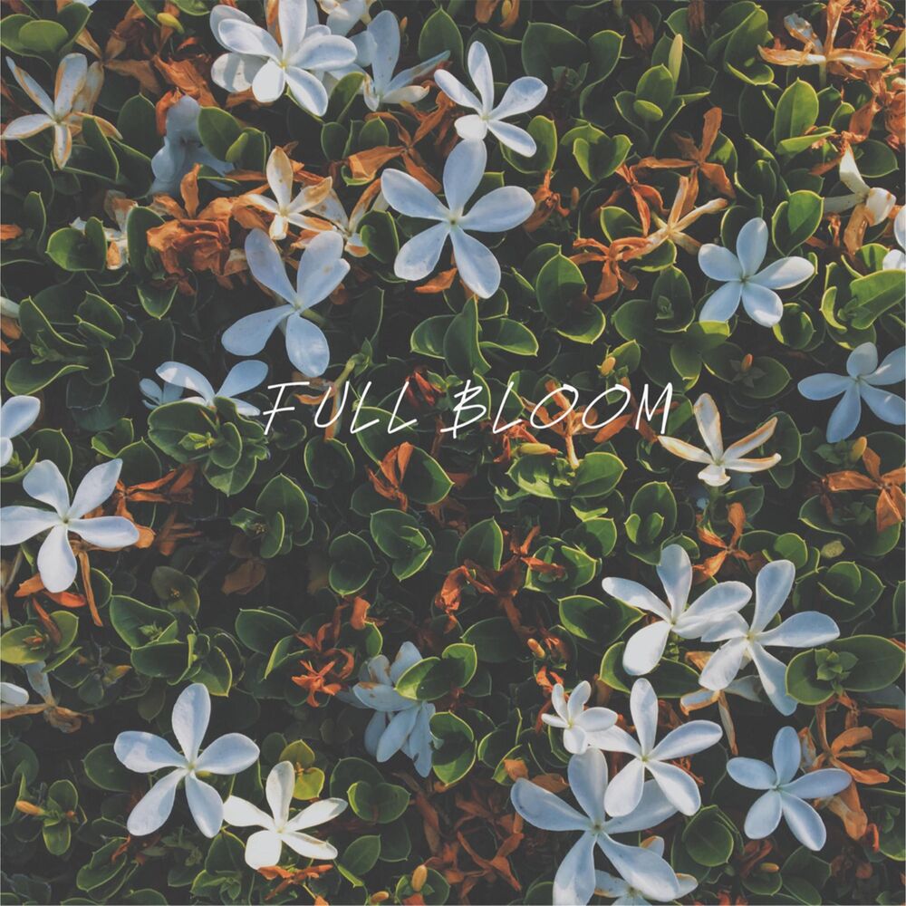 Picture of Full Bloom
