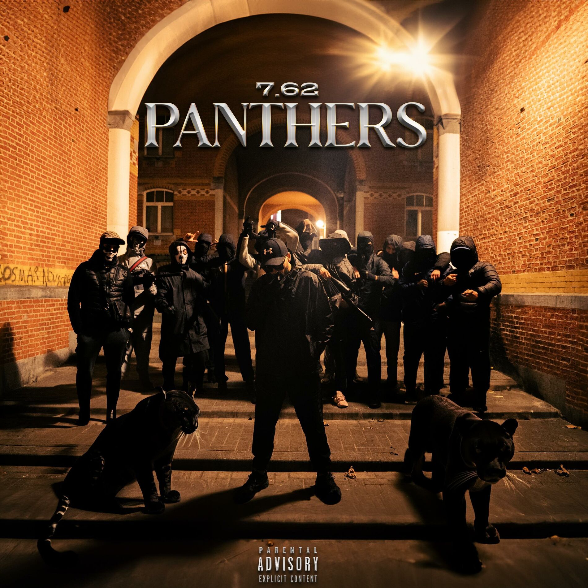 Album cover of Panthers