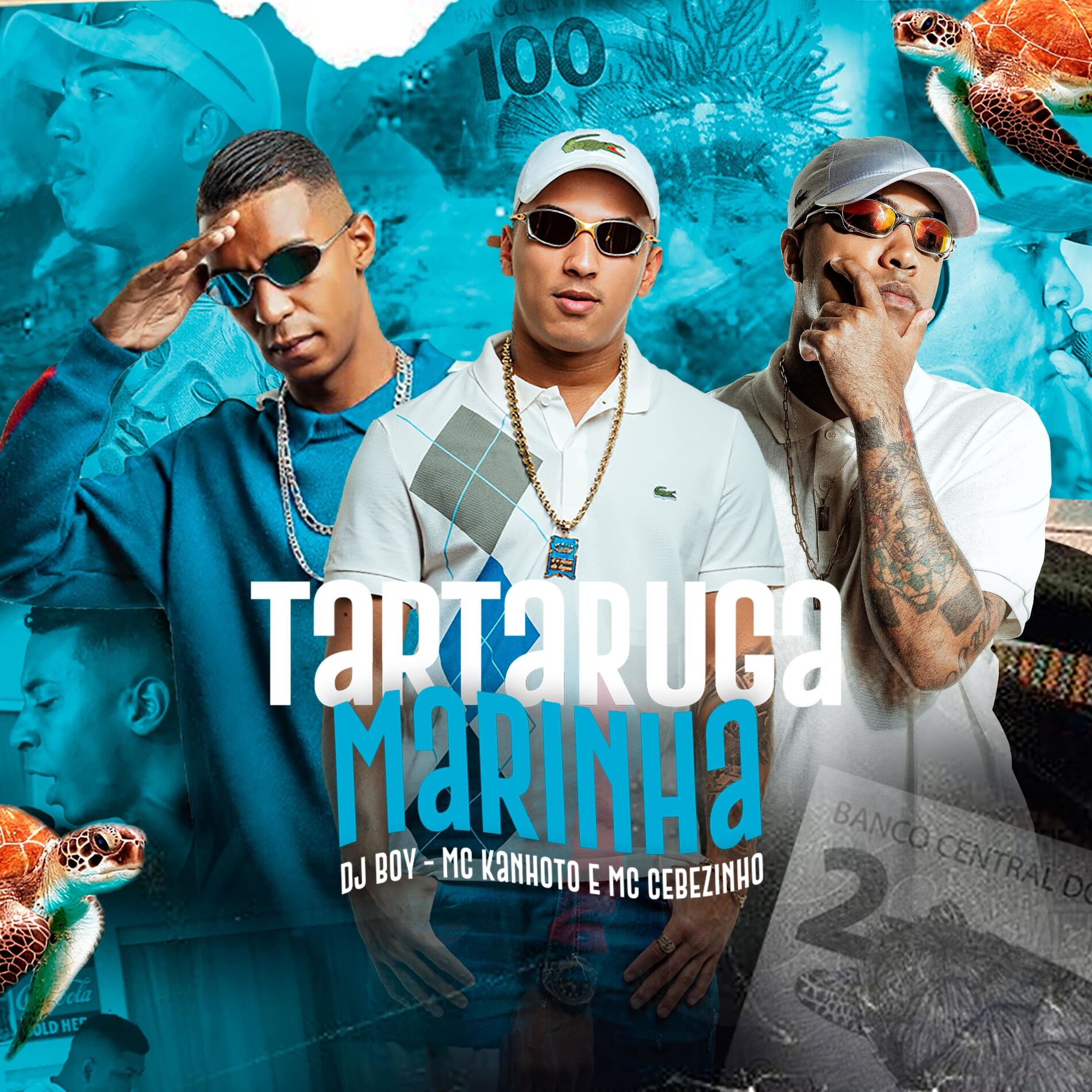 Album cover of Tartaruga Marinha