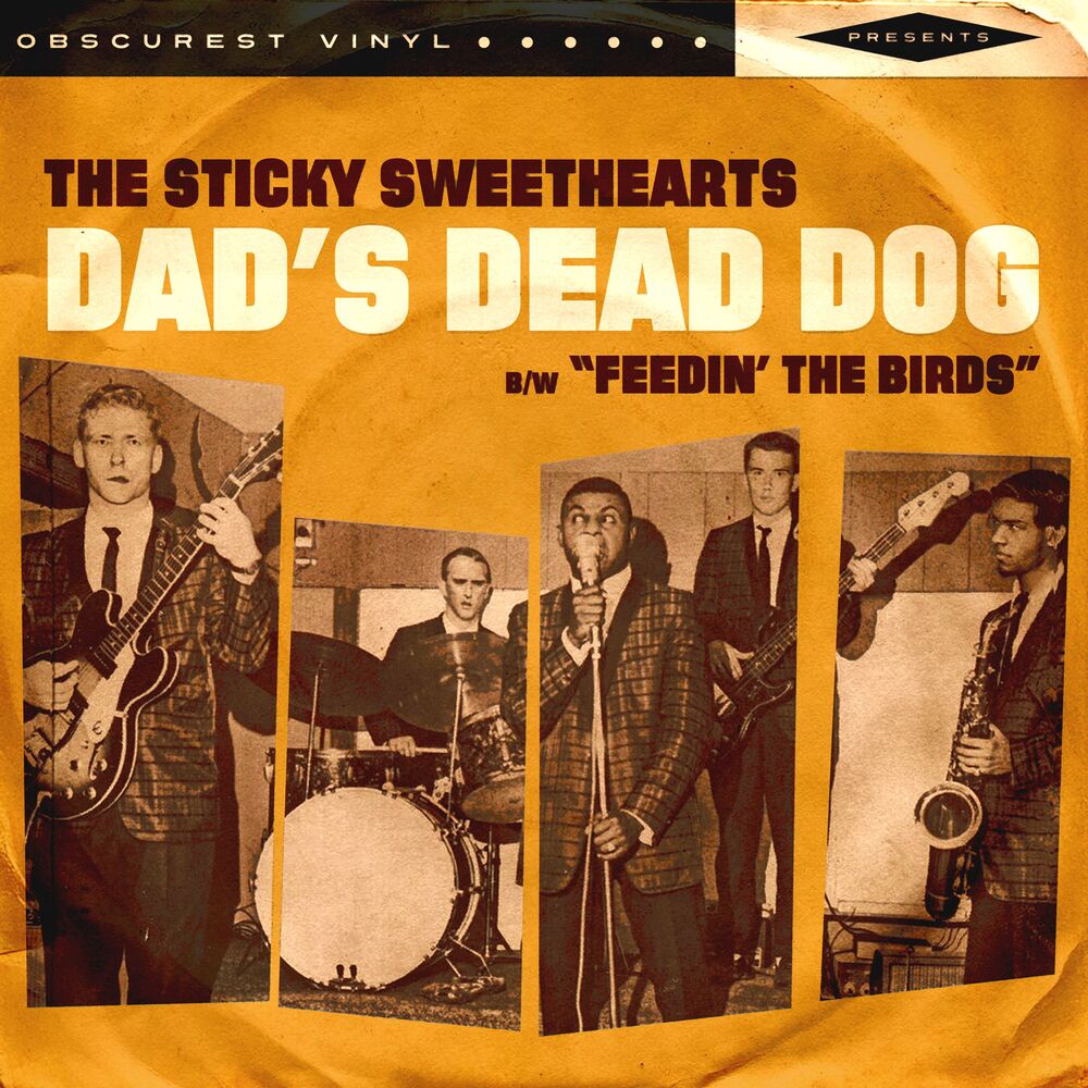 Picture of Dad's Dead Dog & Feedin' the Birds